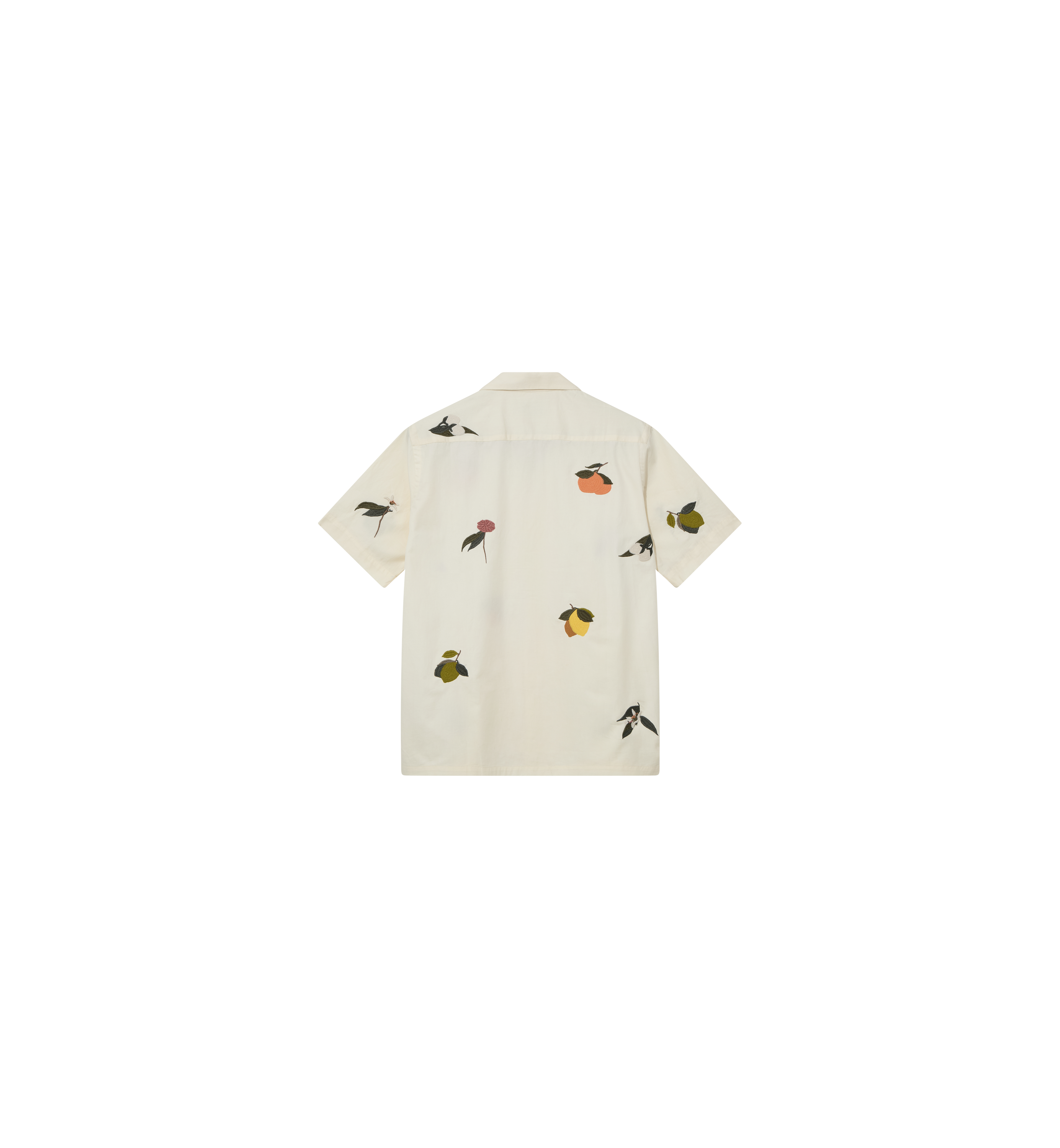 Packshot / Ecru / Back